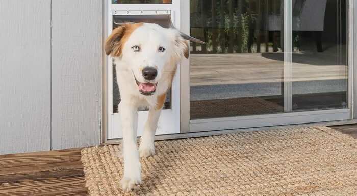 how to lock sliding glass door with dog door