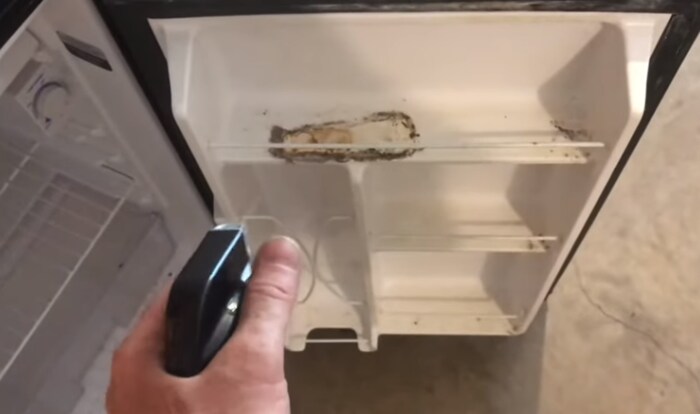 how to clean a moldy refrigerator