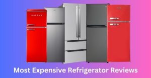 most expensive refrigerator reviews